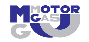 Warsztat samochodowy Motor Gas Rygielski Toruń